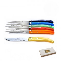 Set of 6 contemporary Laguiole knives - Spring Shades