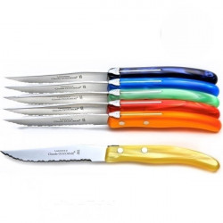 Set de 6 cuchillos contemporáneos Laguiole - Tonos primaverales