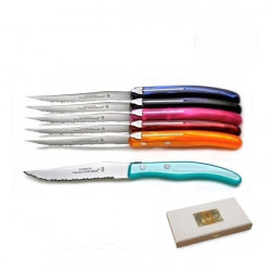 Set of 6 contemporary Laguiole knives - Summer Shades