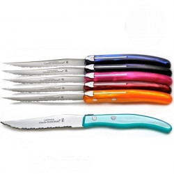 Set de 6 cuchillos contemporáneos Laguiole - Tonos Veraniegos