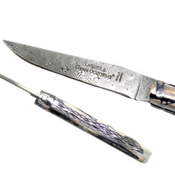 Laguiole Sammlermesser mit Griff Mammut-zahn,  Innerer Molar - Silber