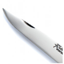 Laguiole horn tip handle knife, leather case