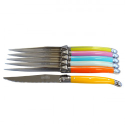Laguiole set of 6 pastel mix handle knives