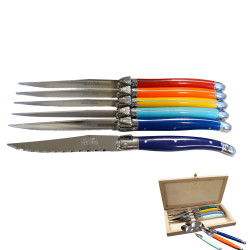 Set of 6 traditional Laguiole knives - Rainbow Shades