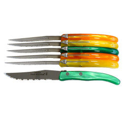 Set de 6 cuchillos contemporáneos Laguiole - Tonos de cítricos