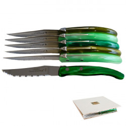 Set di 6 coltelli contemporanei Laguiole - Sfumature verdi dei prati