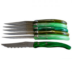 Set de 6 cuchillos contemporáneos Laguiole - Tonos verdes de pradera