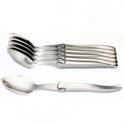 solid polished stainless steel large spoon