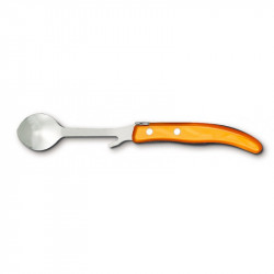 Contemporary Laguiole jam spoon - Orange