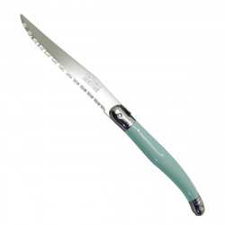 Traditional Laguiole Knife - Mint Green