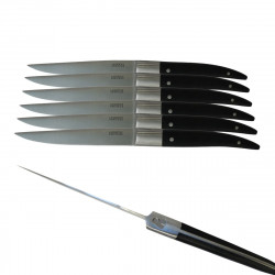 Magnetic block of 6 Steak Laguiole Heritage knives, resin handle