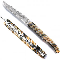 Laguiole Mammoth tooth Damascus knife - molar, leather case